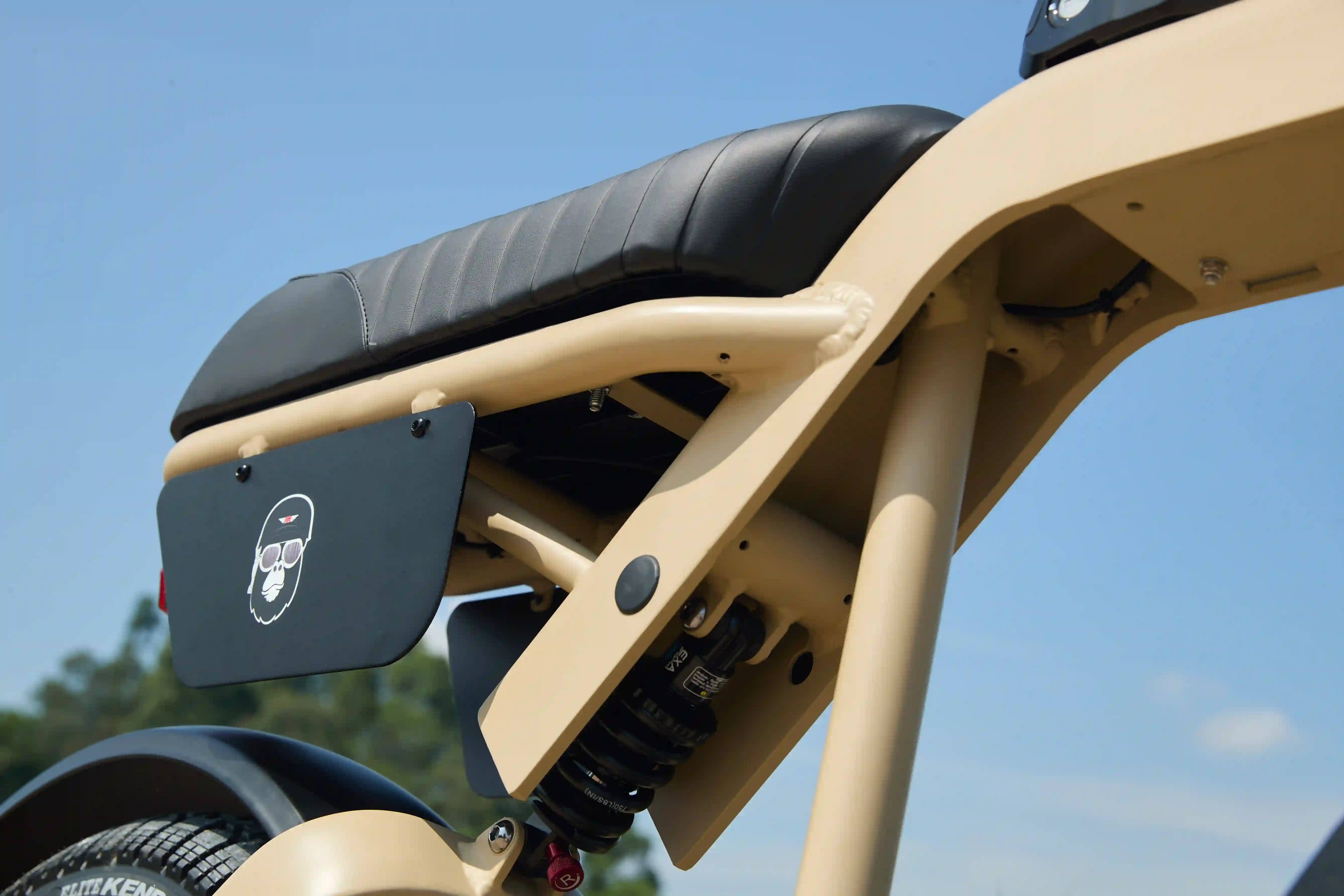 Ape Ryder e-bike frame