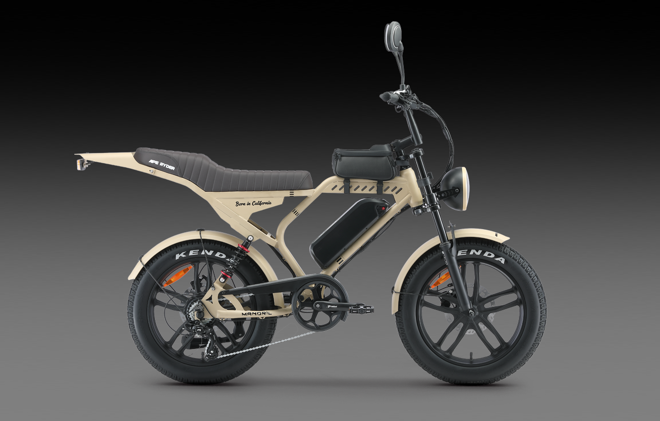 MANDRILL &Ouml;ne &Ccedil;ıkan &Ouml;zellikler